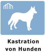 Hunde